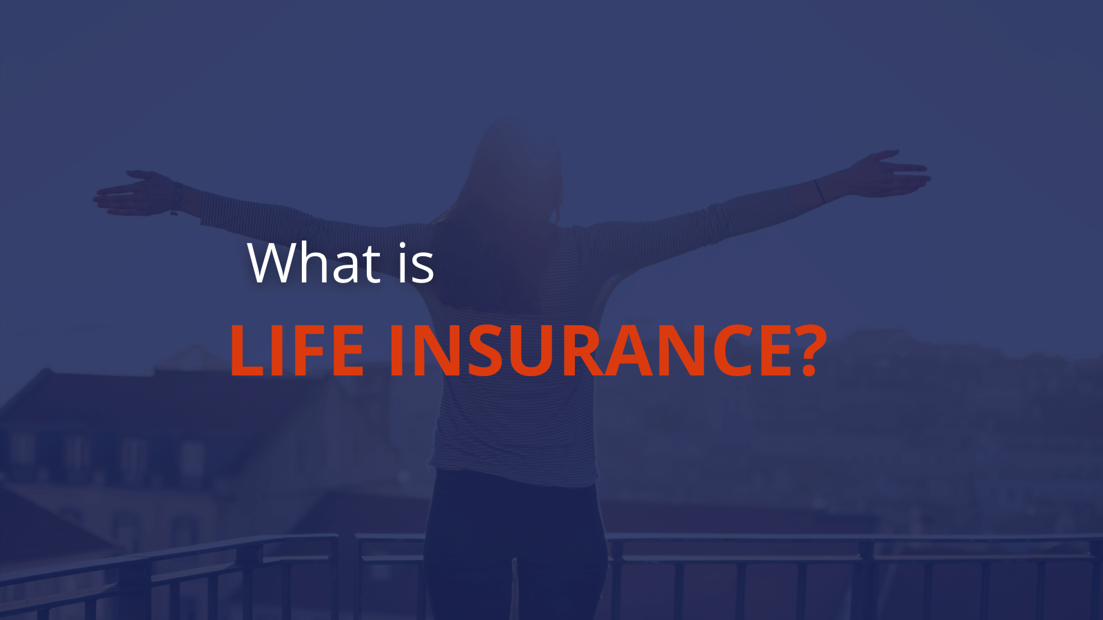Life Insurance Preview Image