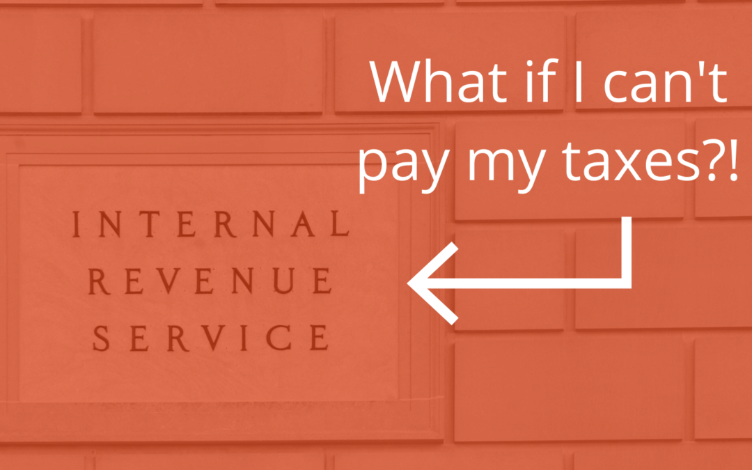 What if I can’t pay my taxes?! (A Guide to Repaying the IRS)